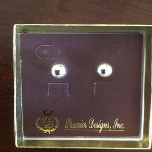 Silver Stud Earrings (Costume Jewelry)